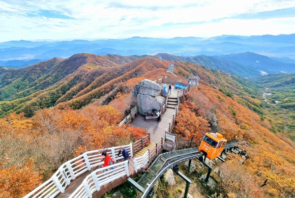 Ծ籺       ȸ 