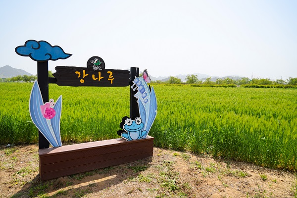 [기획] 함안 강나루생태공원 힐링 공원 인기