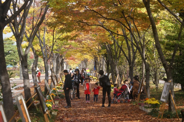 제13회 창원단풍거리축전